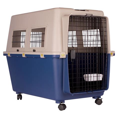 caixa transporte cachorro avião gol